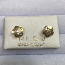 Load image into Gallery viewer, Aritos Oro - 14K