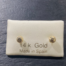 Load image into Gallery viewer, Aritos Oro 14K