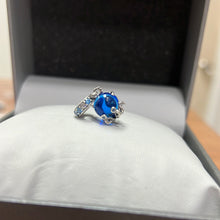 Load image into Gallery viewer, Charms Pandora