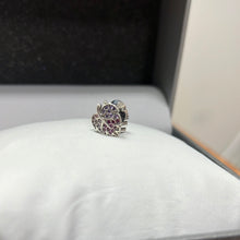 Load image into Gallery viewer, Charms Pandora