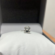 Load image into Gallery viewer, Charms Pandora