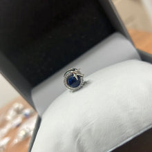 Load image into Gallery viewer, Charms Pandora
