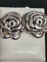 Load image into Gallery viewer, Aritos de Plata