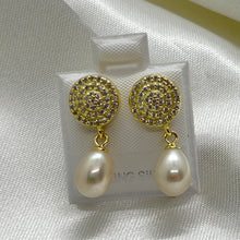 Load image into Gallery viewer, Aritos Plata con Baño