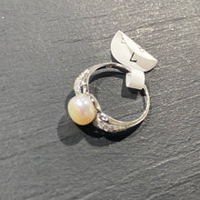 Load image into Gallery viewer, Anillos Plata 925
