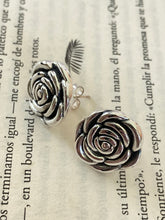 Load image into Gallery viewer, Aritos Plata 925
