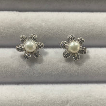 Load image into Gallery viewer, Aritos Plata 925
