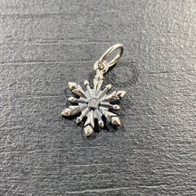 Load image into Gallery viewer, Charms Pandora
