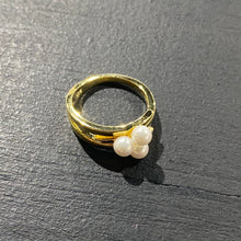 Load image into Gallery viewer, Anillos Plata con baño de Oro
