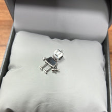 Load image into Gallery viewer, Charms Pandora
