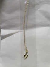 Load image into Gallery viewer, Collar Plata con Baño
