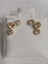 Load image into Gallery viewer, Aritos Plata con Baño

